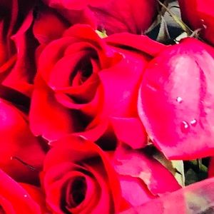 Meet your Posher, Nadia